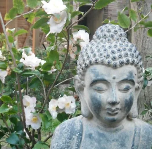 Le Despeyrous En Апартаменты