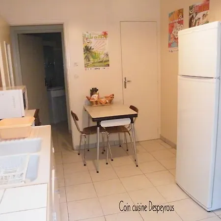 Le Despeyrous En Apartment Beaumont-de-Lomagne
