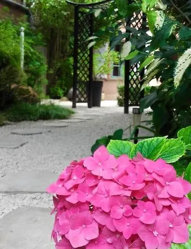 Le Despeyrous En アパート *